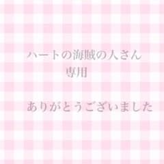 サンジ(×1) ロビン(×1)のサムネイル