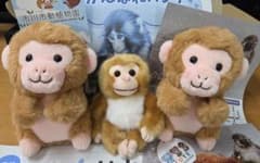 市川市動植物園 パンチくん、もえちゃん、もみちゃん、フライヤー