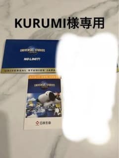 （kurumi様専用）ユニバーサルスタジオジャパンのサムネイル