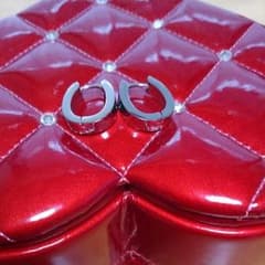 ステンレス製ピアスのサムネイル