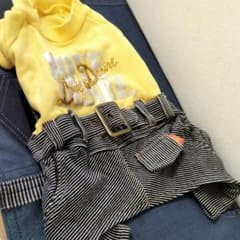 犬用服。MDサイズです。少し大きめのダックスちゃんにピッタリなサイズです。のサムネイル