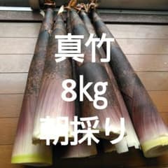 千葉県、無農薬、朝採り「真竹」8kgのサムネイル