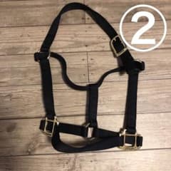 馬具　無口　競走馬のサムネイル
