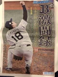 日刊スポーツ オリックスバファローズ 優勝記念特集号のサムネイル
