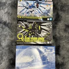 ガンプラ HG シードフリーダムライジング2機未組立のサムネイル