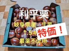 岐阜県産 生栗 1.5kg 農薬不使用 利平栗のサムネイル