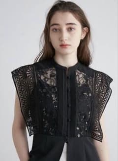 Lily Brownのスイッチングレースブラウスのサムネイル