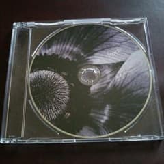 lynch. FC入会特典"ANEMONE" CDのサムネイル