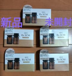 GD11 アールエックス SCM プログラムのサムネイル