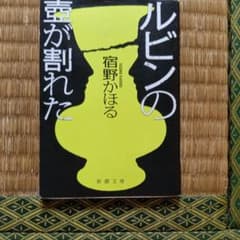 ルビンの壺が割れたのサムネイル