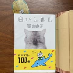 白いしるしのサムネイル