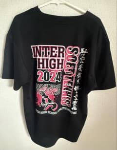 2024 北部九州総体 インターハイ 限定Tシャツ Mサイズのサムネイル