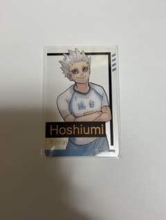 ハイキュー!! 箔押しクリアカードコレクション 星海光来