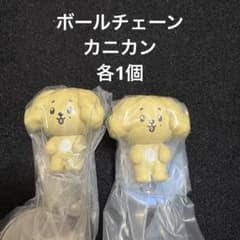 MINITEEN つまんでつなげてますこっと DOA ドギョム - メルカリ