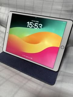 iPadPro (第1世代) 256GB/Wi-fi/10.5インチ カバー付きのサムネイル