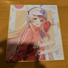 m*o様 ホロライブ ReGLOSS 渋谷 さんぽ TSUTAYA 音乃瀬奏 色のサムネイル