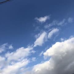 はんみん様 専用ページのサムネイル