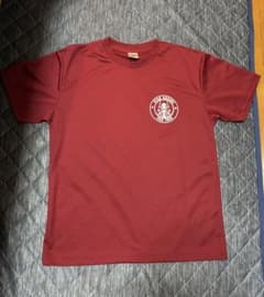 【限定品】全国ブロック水泳　JSCA TOKAI TシャツMサイズのサムネイル