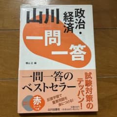 山川 一問一答政治・経済のサムネイル