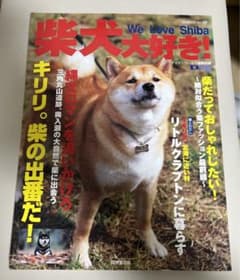 柴犬大好き!のサムネイル