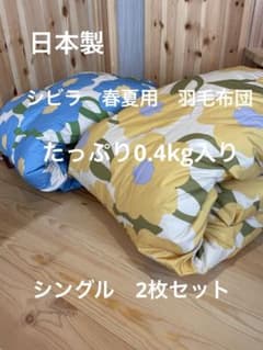 2枚セット【シビラ】カラダス 夏用羽毛布団 ダウン85% 0.4kg - メルカリ