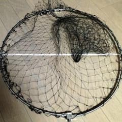 とり天　様　専用のサムネイル