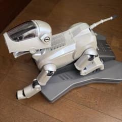SONY AIBO ERS-111 本体 チャージステーション 外箱付き SONY AIBO ERS-111 本体 チャージステーション - メルカリ