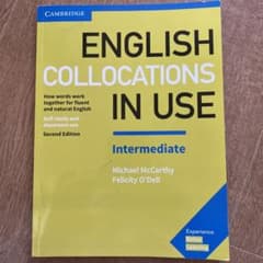 English Collocations in USEのサムネイル