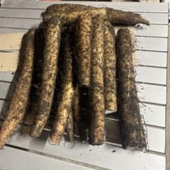 青森県産春掘り長芋（5キロ）のサムネイル