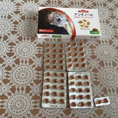 アンチノール犬用62粒‼️のサムネイル