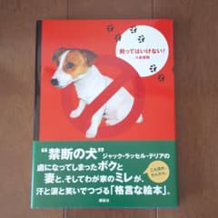 飼ってはいけない! Jack russell terrierのサムネイル