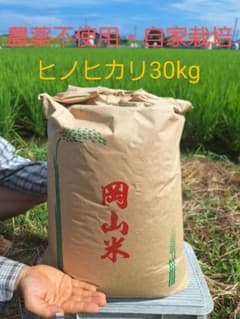 R7年産新米・玄米30kg(ヒノヒカリ・農薬不使用)☆着払い☆ R7年産新米・玄米30kg(ヒノヒカリ・農薬不使用)☆着払い☆ - メルカリ