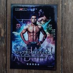 シェイドラエフ ライコレ 星5 師走の超強者祭り RIZIN - メルカリ