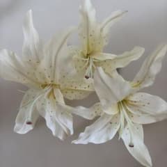百合の花 ヘアアクセサリー 3本セットのサムネイル