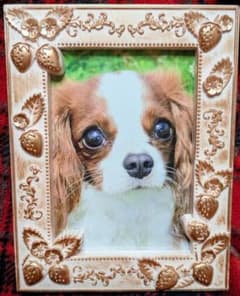 375様❤キャバリアキングチャールズスパニエル 鯉のぼり お花見 オブジェ♡ キャバリア.キング.チャールズ.スパニエル額縁。 - メルカリ