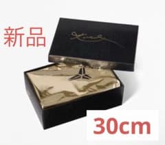 【新品✨️早い者勝ち】ナイキ コービー 4 プロトロ ドラフトパックのサムネイル