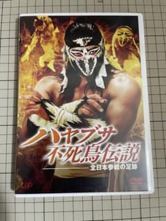 ハヤブサ不死鳥伝説～全日本参戦の足跡～〈2枚組〉 ハヤブサ不死鳥伝説 DVD 2枚組 - メルカリ