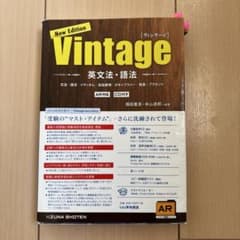 Vintage : 英文法・語法 : 文法|語法|イディオム|会話表現|ボキャ…のサムネイル
