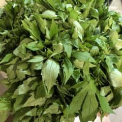 岩手県産　天然しどけ　山菜　５００ｇのサムネイル