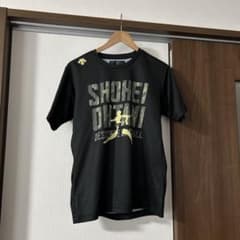 DESCENTE DBMPJA60SH 半袖Tシャツ Sサイズのサムネイル