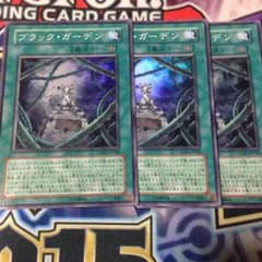 ブラックガーデン スーパー3枚セットのサムネイル