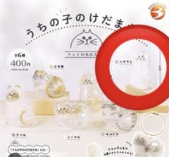 うちの子のけだまだま ハチワレのサムネイル
