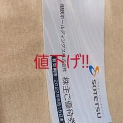 相鉄ホールディングス株式会社株主優待券のサムネイル