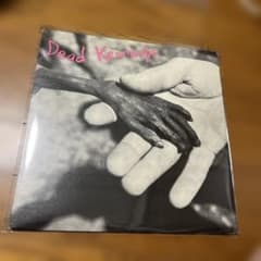 Dead Kennedys Plastic Surgery Disastersのサムネイル