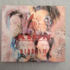 m34156138989_1.jpg?1723698720