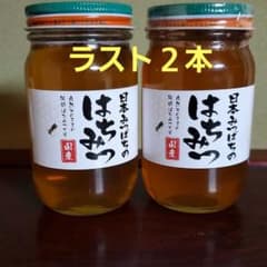 日本蜜蜂の純生ハチミツのサムネイル