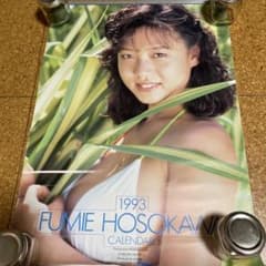 1993 細川ふみえ カレンダー - メルカリ