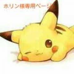 ホリン様専用ページのサムネイル