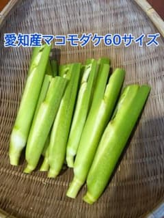 愛知県産　マコモダケ　60サイズのサムネイル
