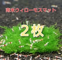 アクアリウム  ウィローモス  水草  モスマット  南米ウィローモスのサムネイル